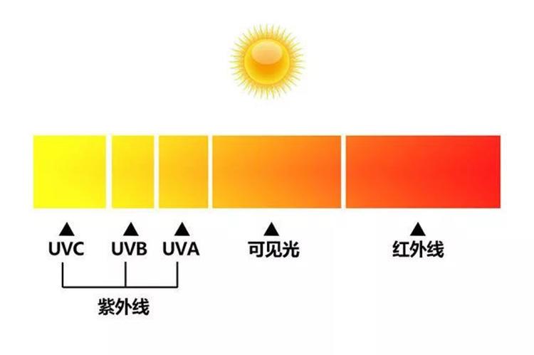 兰嘉丝汀什么产品最好 兰嘉丝汀哪里能买到正品