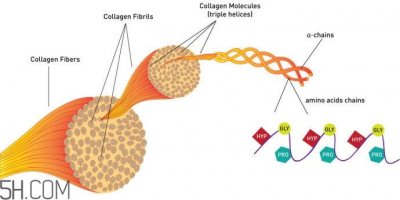 ​怎样可以增加皮肤胶原蛋白 让皮肤胶原蛋白充沛的方法