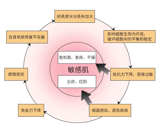 皮肤屏障受损什么意思 什么原因导致皮肤屏障受损