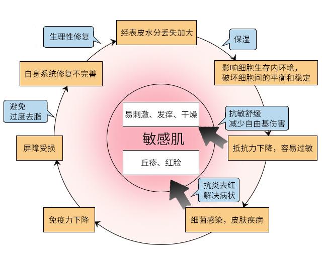 皮肤屏障受损什么意思 什么原因导致皮肤屏障受损