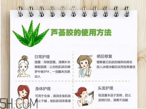 芦荟胶的功效和作用有哪些？教你芦荟胶的正确使用方法