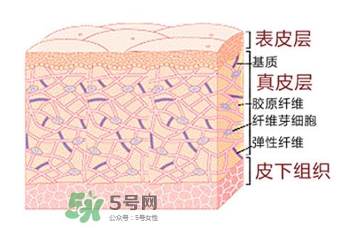 毛孔粗大用什么护肤品 毛孔粗大原因及对策