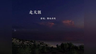 ​你的脚步流浪在天涯是什么歌