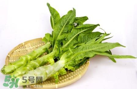 莴笋叶煮水可以治荨麻疹吗?莴笋叶煮水能治荨麻疹吗?