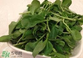 鸡毛菜怎么做？鸡毛菜的做法