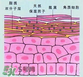 敷面膜真的有效吗？敷面膜真的有用吗？