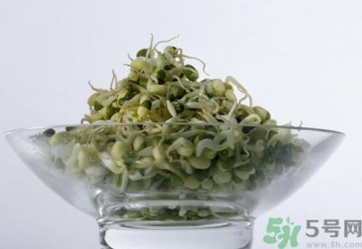 ​夏天吃绿豆芽可以清火吗？夏天吃绿豆芽能降火吗？