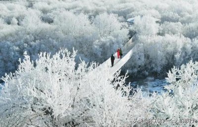 ​中国人怎么去北极