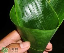 粽子叶能冷冻吗？粽子叶放冰箱冷藏还是冷冻？