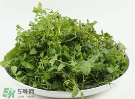 荠菜多少钱一斤？野生荠菜多少钱一斤？