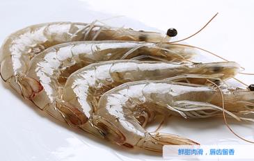 海虾怎么保存？活海虾怎么保存？