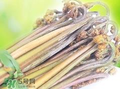 蕨菜要煮多久?蕨菜要煮多长时间?