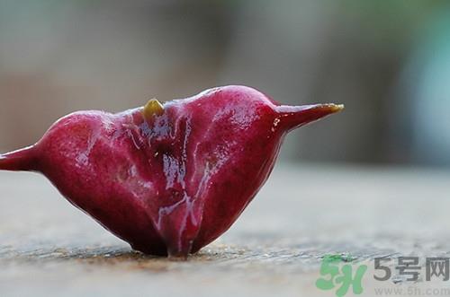 菱角可以蒸着吃吗?菱角蒸多长时间熟