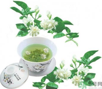 ​茉莉花茶是热性还是凉性？茉莉花茶是凉性吗？