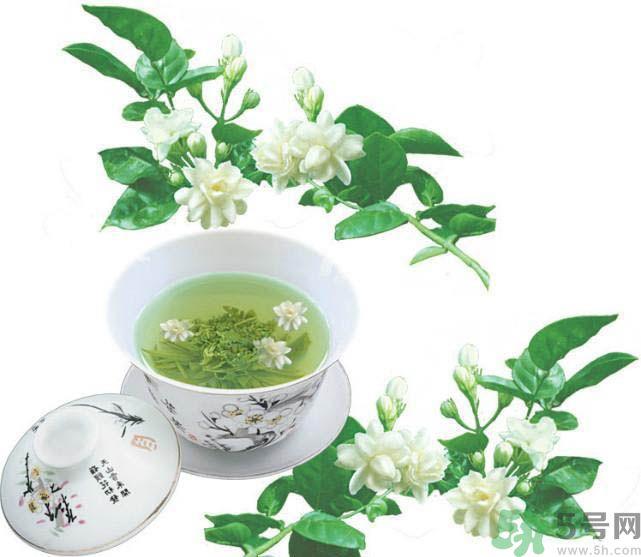 茉莉花茶是热性还是凉性？茉莉花茶是凉性吗？