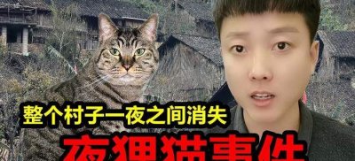 ​代号夜狸猫事件（代号里狸猫是叛徒吗）