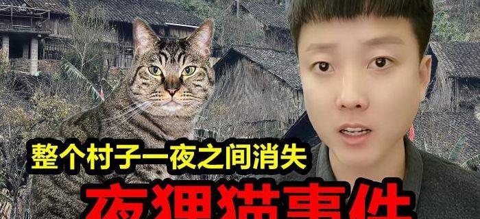 代号夜狸猫事件（代号里狸猫是叛徒吗）