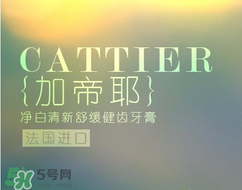 cattier加帝耶是什么牌子？法国cattier什么档次？