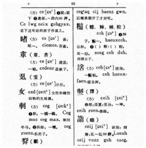 ​生僻字—“女”字中间加一点是什么 怎么读拼音 究竟是什么含义