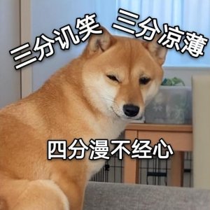 ​为什么养柴犬的人少了？再可爱，始终逃不过这几点