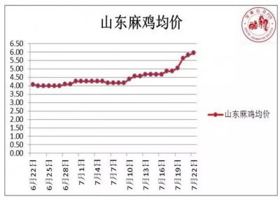 ​同样是市场缺鸡，山东麻鸡均价6元/斤，白羽肉鸡均价3.2元/斤，为啥价格差异那