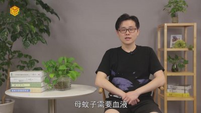 ​蚊子吸血是为了什么产卵 蚊子吸血是为了什么物质