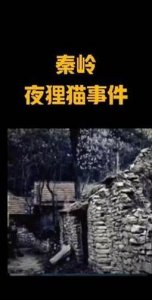 ​1987陕西夜狸猫事件（陕西秦岭夜狸猫）