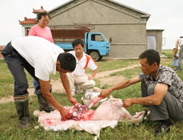 实拍少数民族杀羊仔全过程，过程令人咋舌，不忍心看！