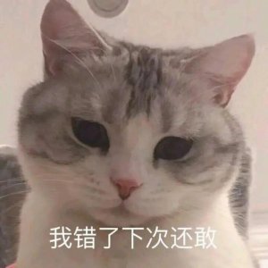 ​教你如何让猫听话