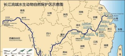 长江最终汇入的是什么海,我国第一大江长江全长6300千米最后注入了哪个海