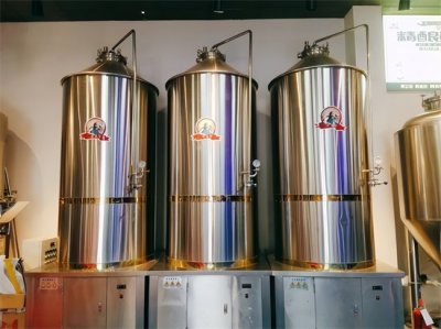 自酿啤酒设备一套多少钱