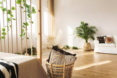 春天花卉出室的温度