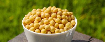 黄豆放两三年了还能吃吗 放了三年的黄豆能吃吗