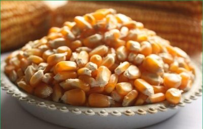 玉米是助消化还是难消化的,吃玉米助消化吗