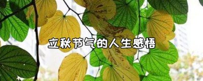 立秋节气的人生感悟句子有哪些