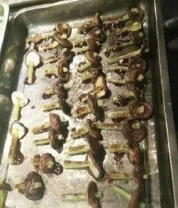 大学食堂里的“奇葩菜”,蓝瘦香菇上榜,尤其是最后一种太抢眼了