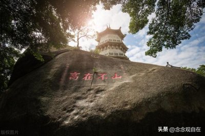 诵经最好最全的回向(最近一周的日常)