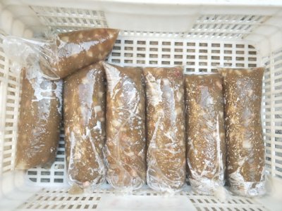 河北肉焖子的家常做法 教你制作河北肉焖子