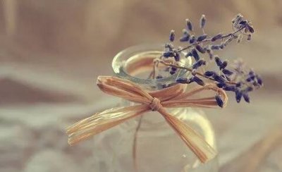 高考的祝福语句简短(高考加油的励志短句)